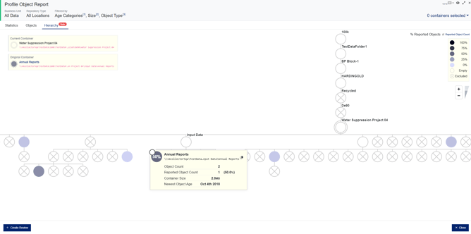Profile Object Validation Report - Hierarchy tab