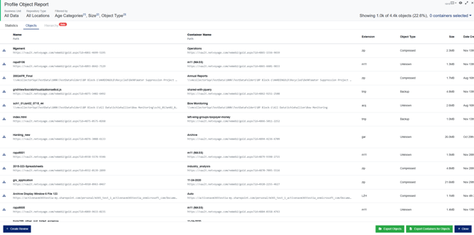 Profile Object Validation Report - Objects tab