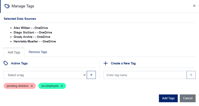 Manage Tags Interface