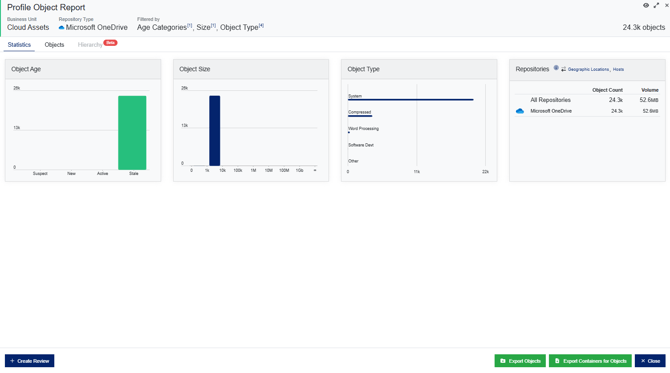 Scoped Review - Profile Object Report Page